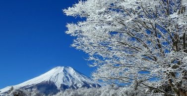 冬富士山