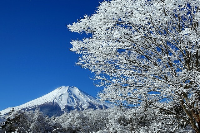 冬富士山
